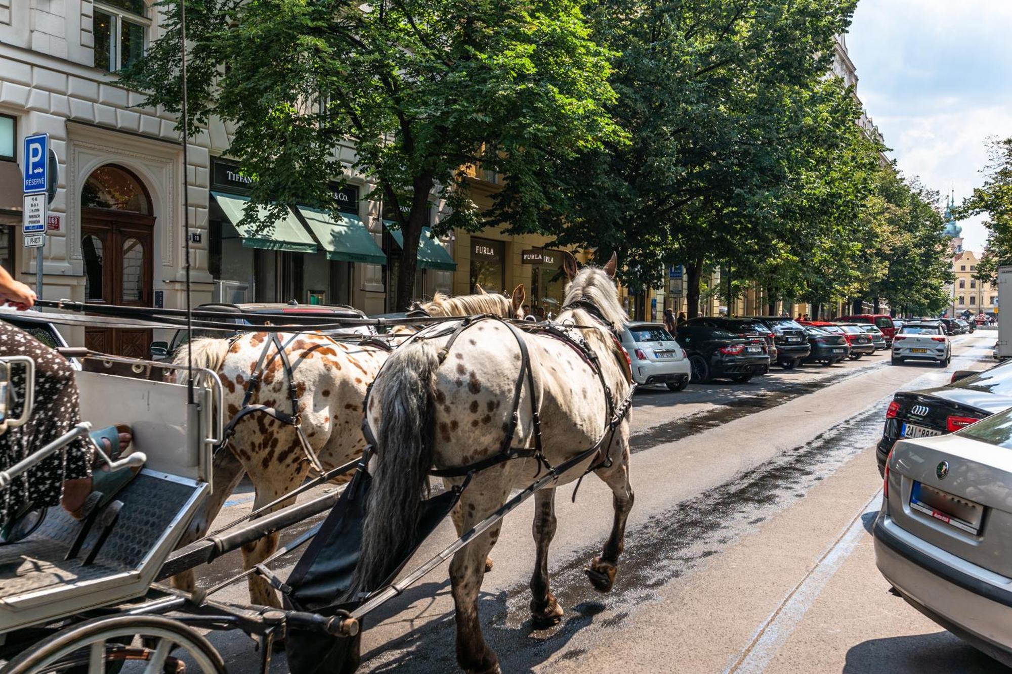 Wishlist Prague Residences - Karlin Free Parking Eksteriør bilde